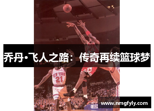 乔丹·飞人之路：传奇再续篮球梦